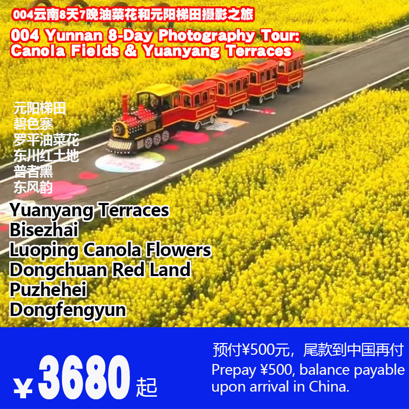 云南8天7晚罗平油菜花和元阳梯田摄影漫旅-004